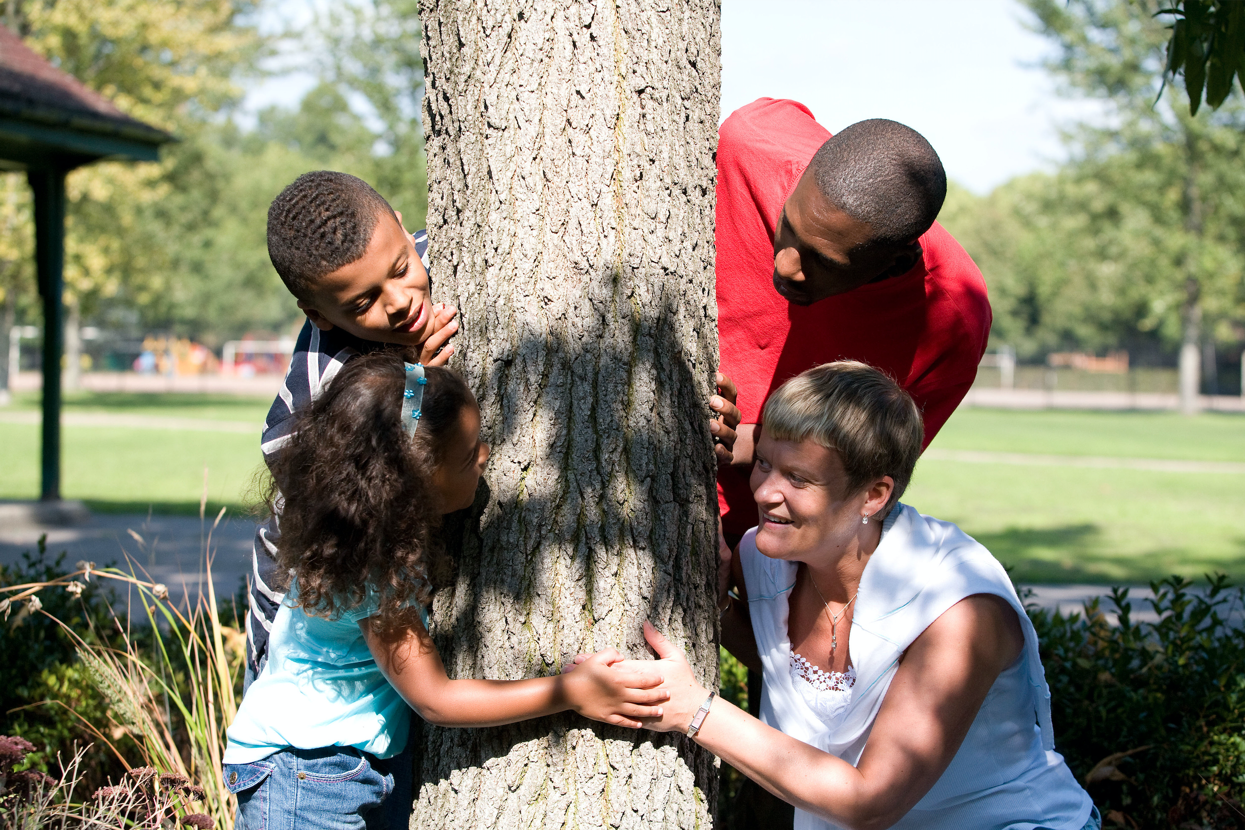 BaNES Fostering Services