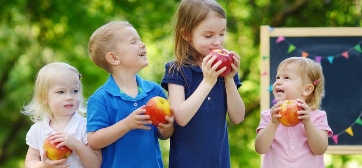 Funding Awards Announced